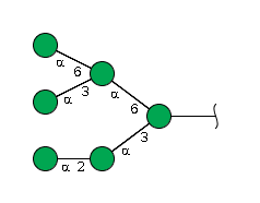 structure 51